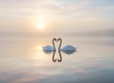 Imagen PNG para descargar